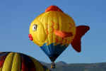 Balloon0295.jpg (52385 bytes)
